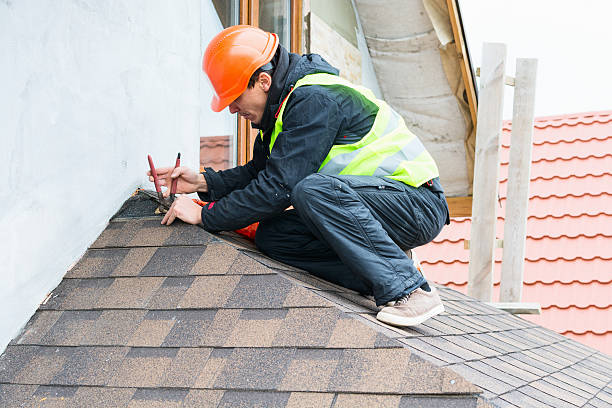 Best Roof Gutter Cleaning  in Larksville, PA