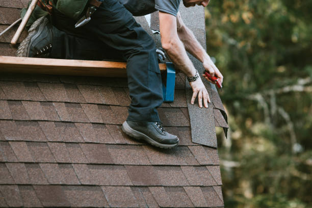 Best Roof Maintenance Services  in Larksville, PA